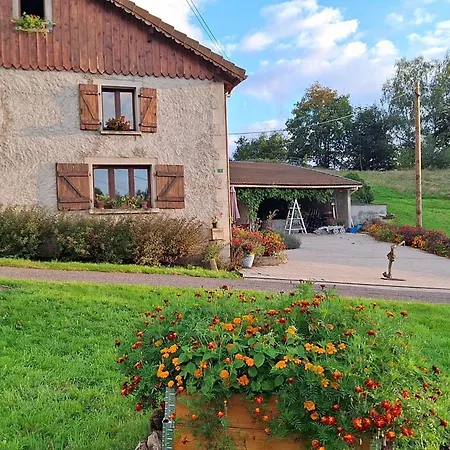 Meuble Au Calme, Proche Cascades, Randos, Chevaux, Parking Et Terrasse Privee, Wifi Gratuit - Fr-1-589-365 * Le Tholy